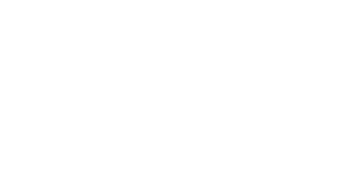 Custom Aircraft Interiors
